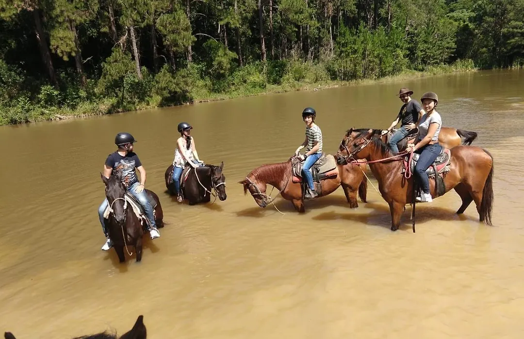Rancho Cavalo Mania-1