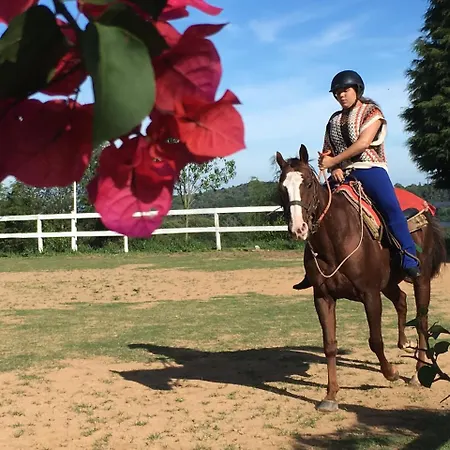 Rancho Cavalo Mania-3